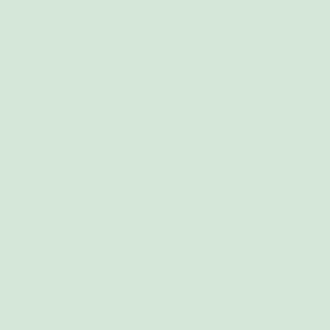 RAL 160 90 10 (P) Verde Luar