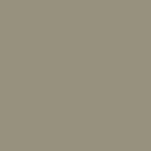 RAL 090 60 10 (D) Cinza-ostra